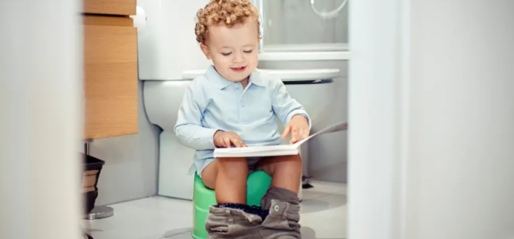 THE BEST POTTY TRAINING CHAIRS OF 2019