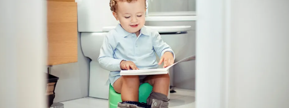 THE BEST POTTY TRAINING CHAIRS OF 2019